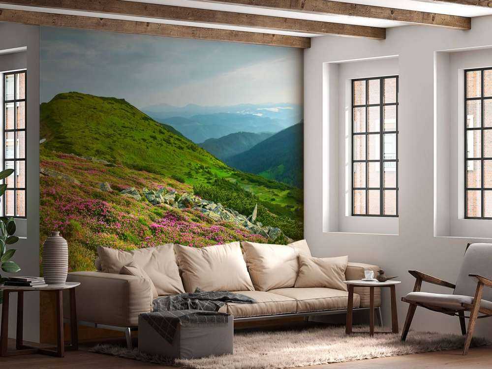 Rhododendrons in the mountains