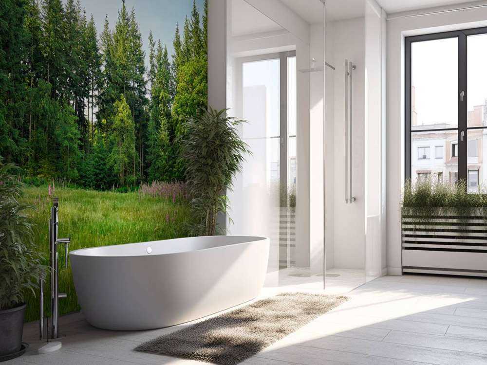 Open space in the forest