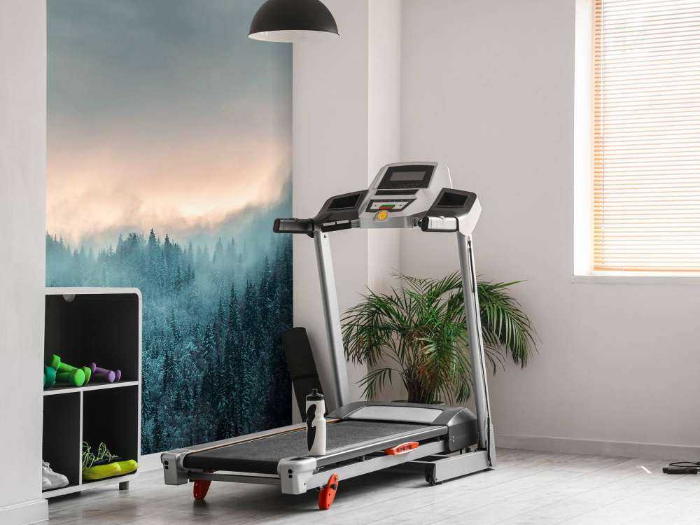 Near St jean D'Aulps 3