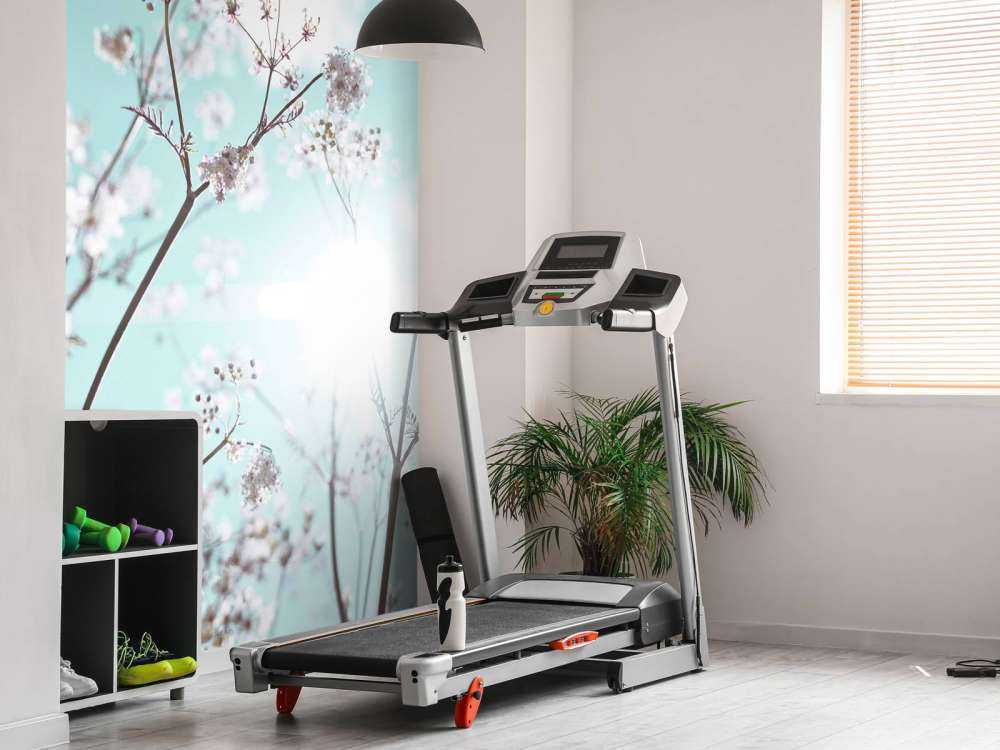 Almond blossom in the sun