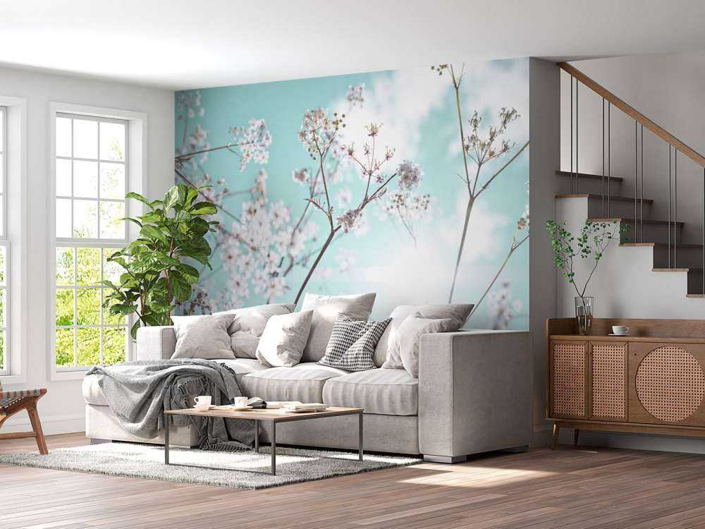 Almond blossom in the sun