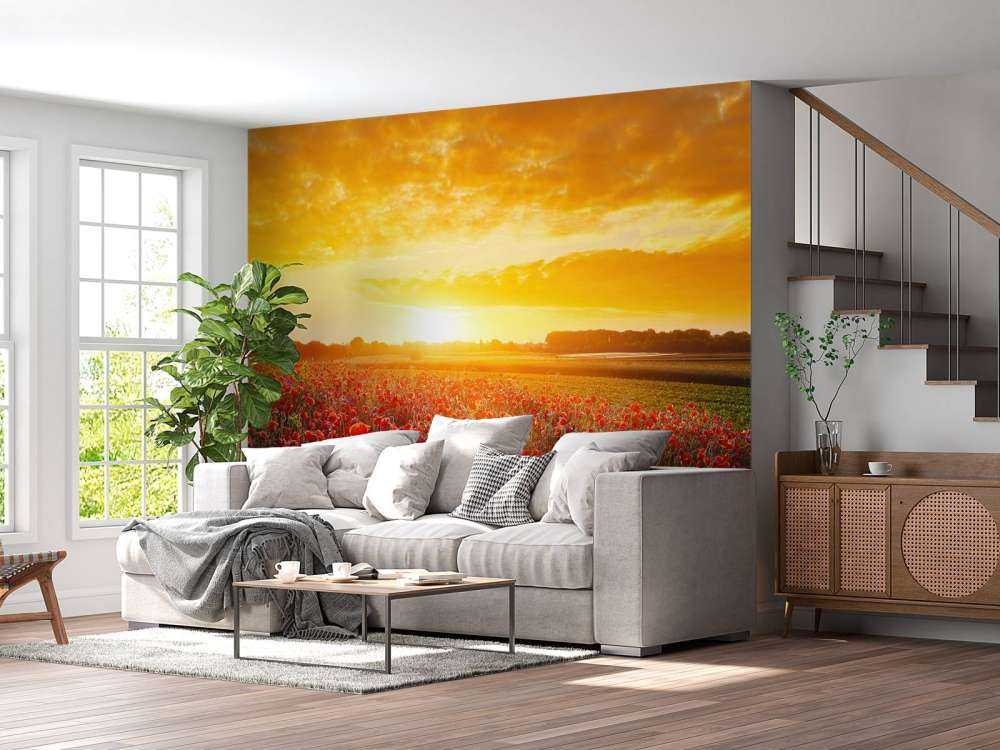 Poppies and Sunset