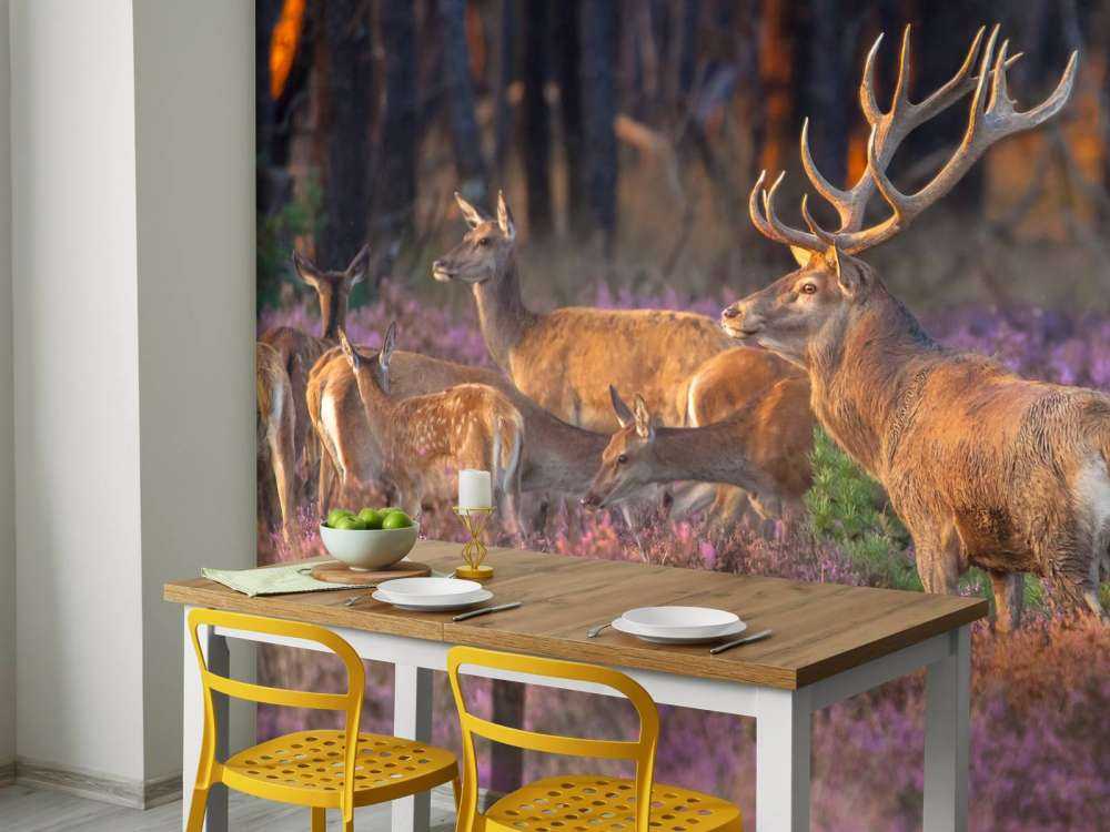 Groep herten op de Veluwe