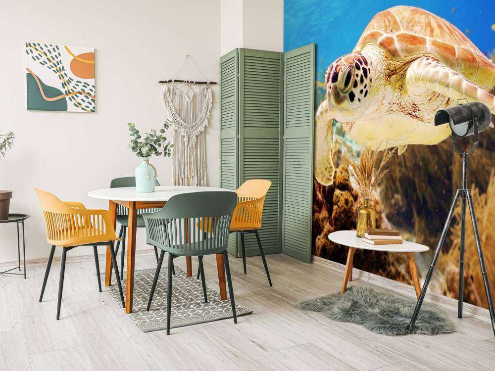 Groene zeeschildpad aan het zwemmen