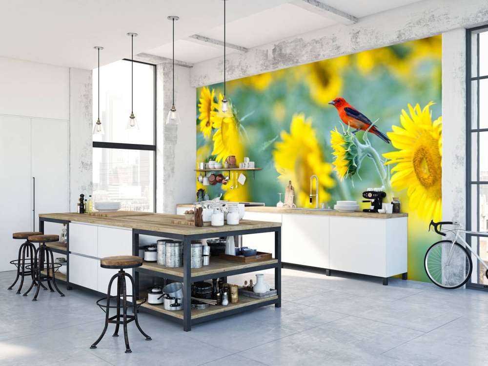 Sunflower field with red bird