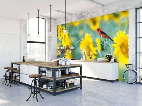 Sunflower field with red bird