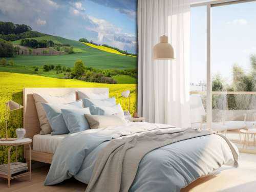 Rapeseed field