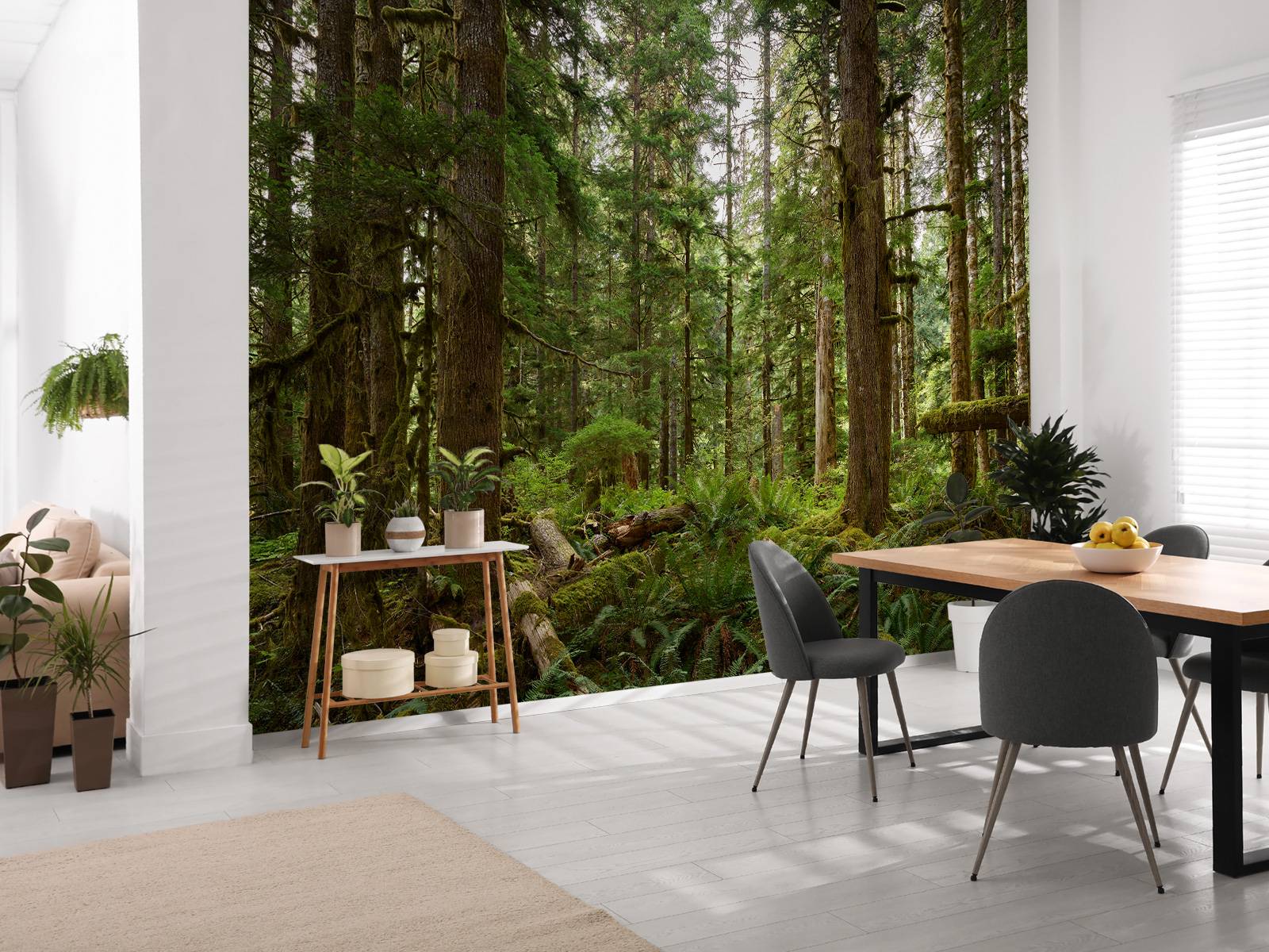 Wild forest