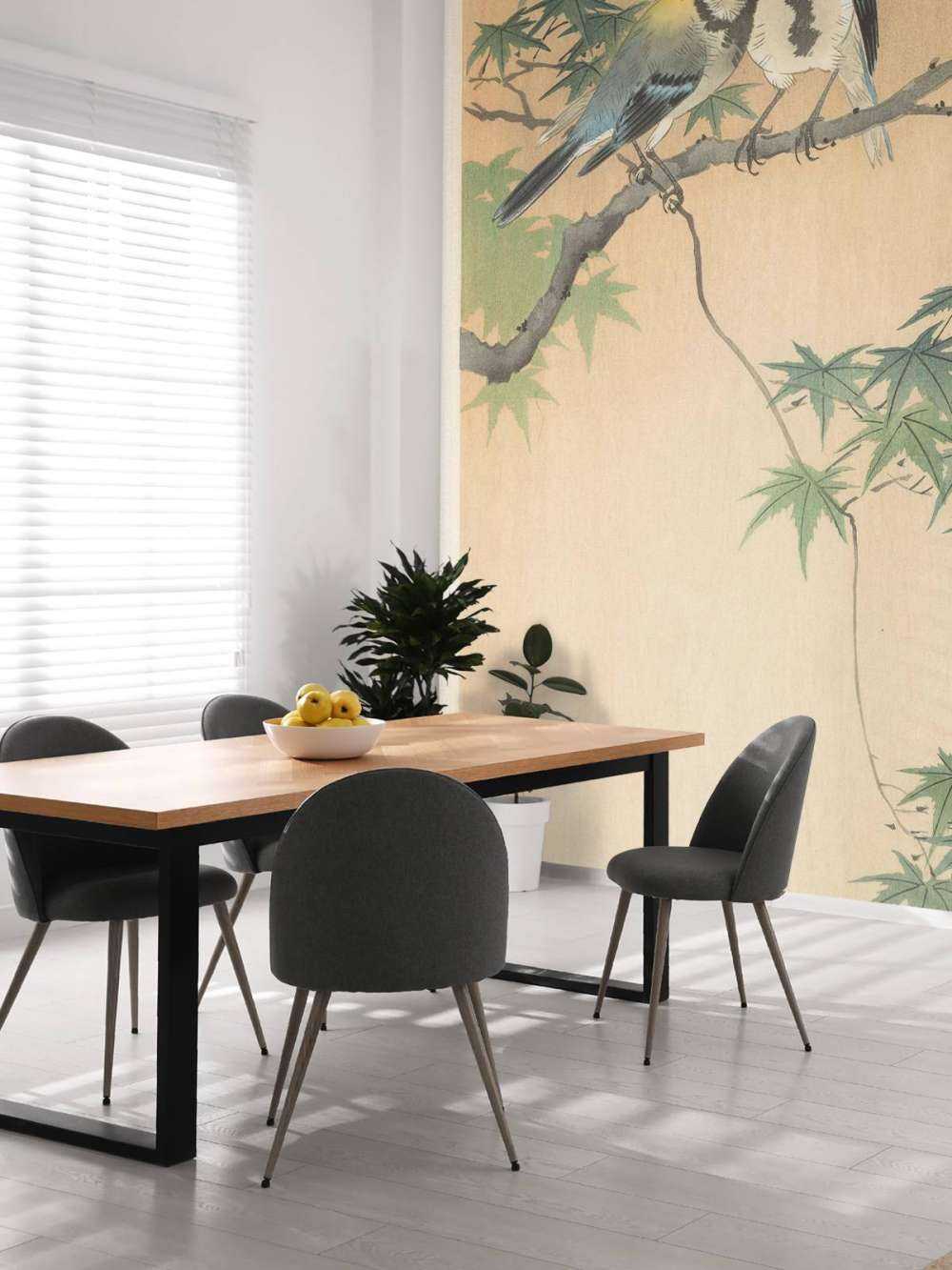 Great tits on maple branch