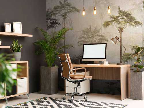Silent Palm Serenity