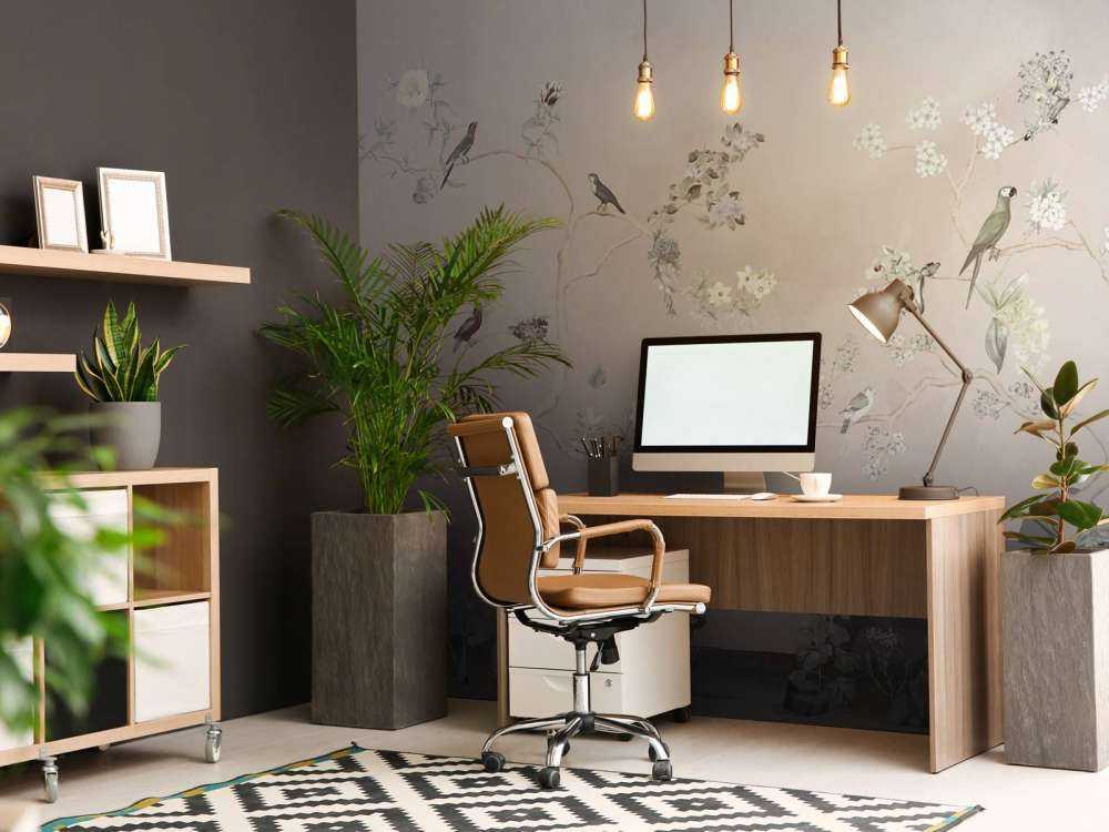 Birds in Garden Panorama 10