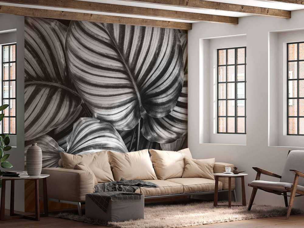 Plant with striped leaves