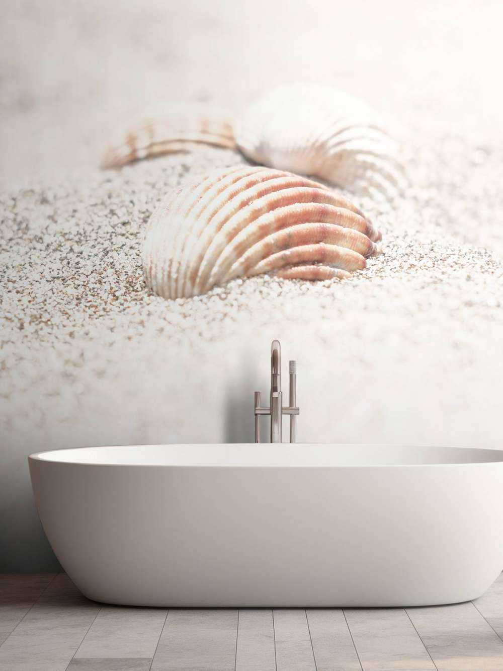 Beach Shells