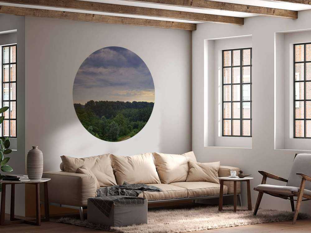 Dreigende wolken boven het bos