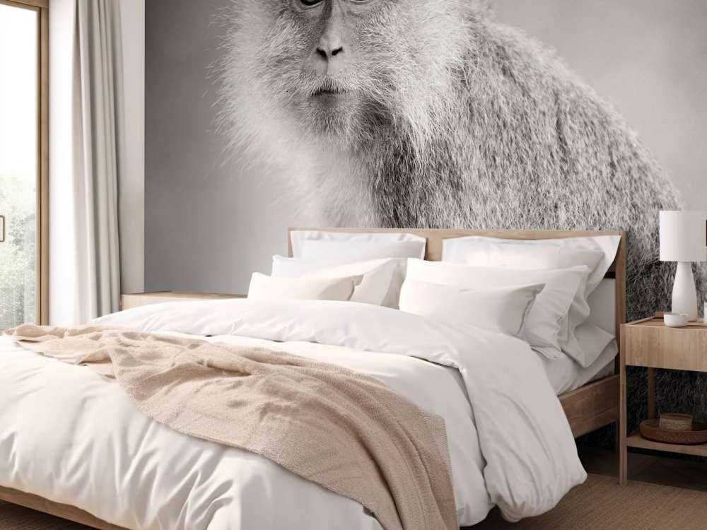 Schattig aapje in zwart-wit