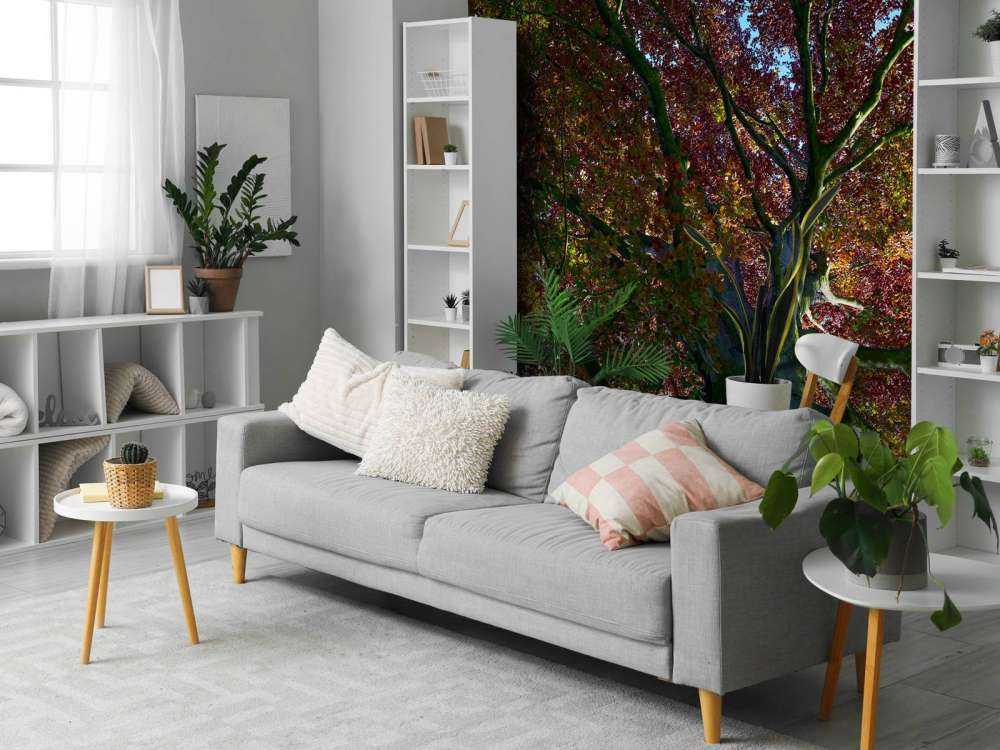 Boom met gekleurde bladeren