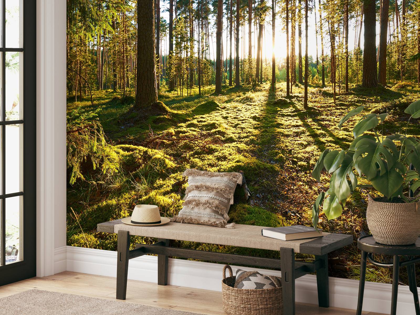 Pine forest