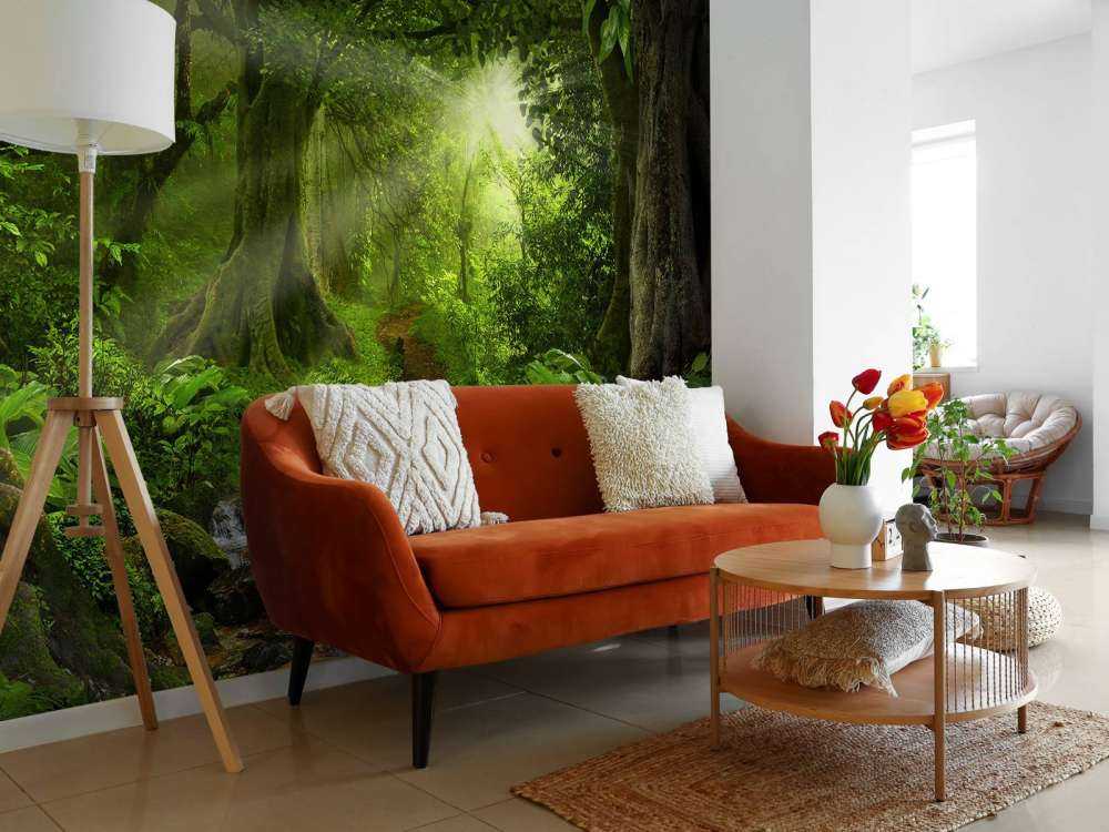 Tropical jungle with sunlight