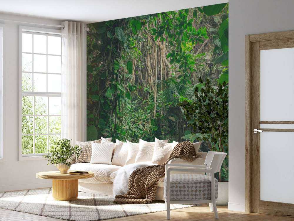 Branches in the rainforest