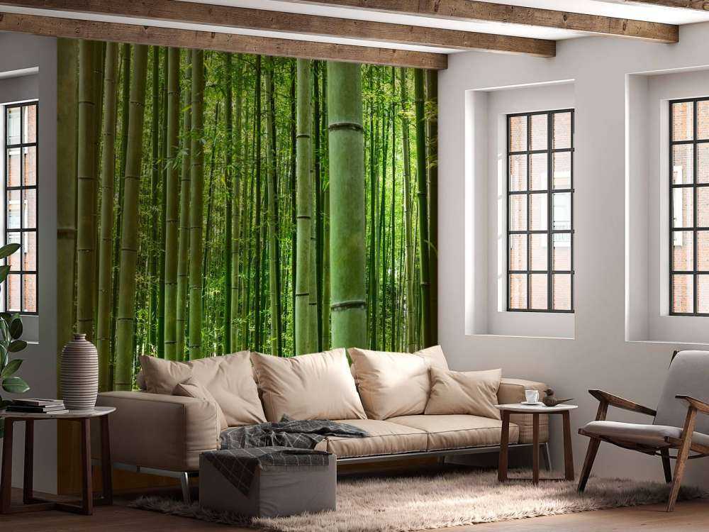 In the middle of the bamboo forest