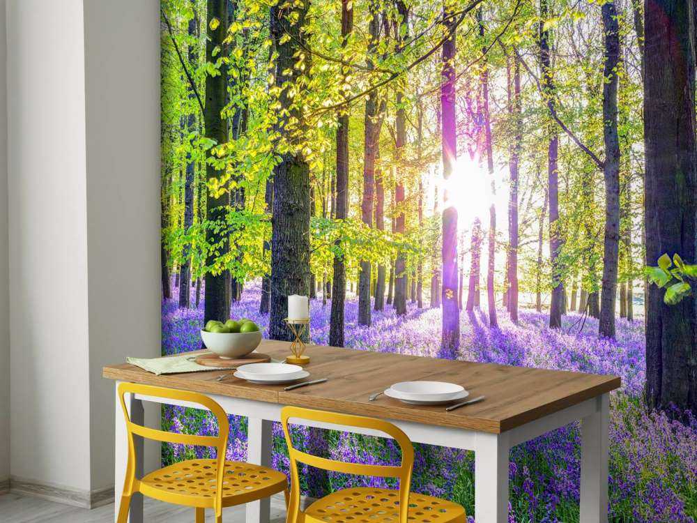 Colourful forest