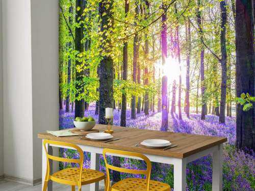 Colourful forest