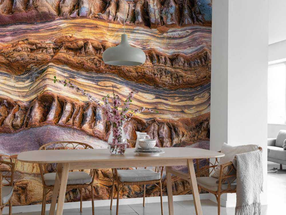 Abstractions in nature