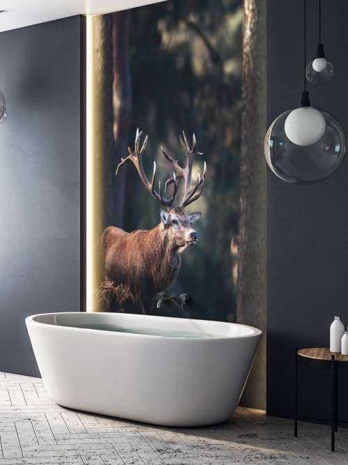 Deer on a hill
