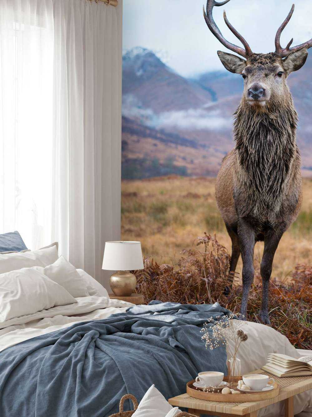 Deer in the mountains