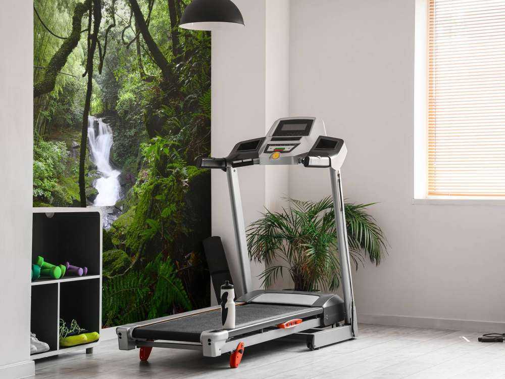 Waterfall surrounded by trees