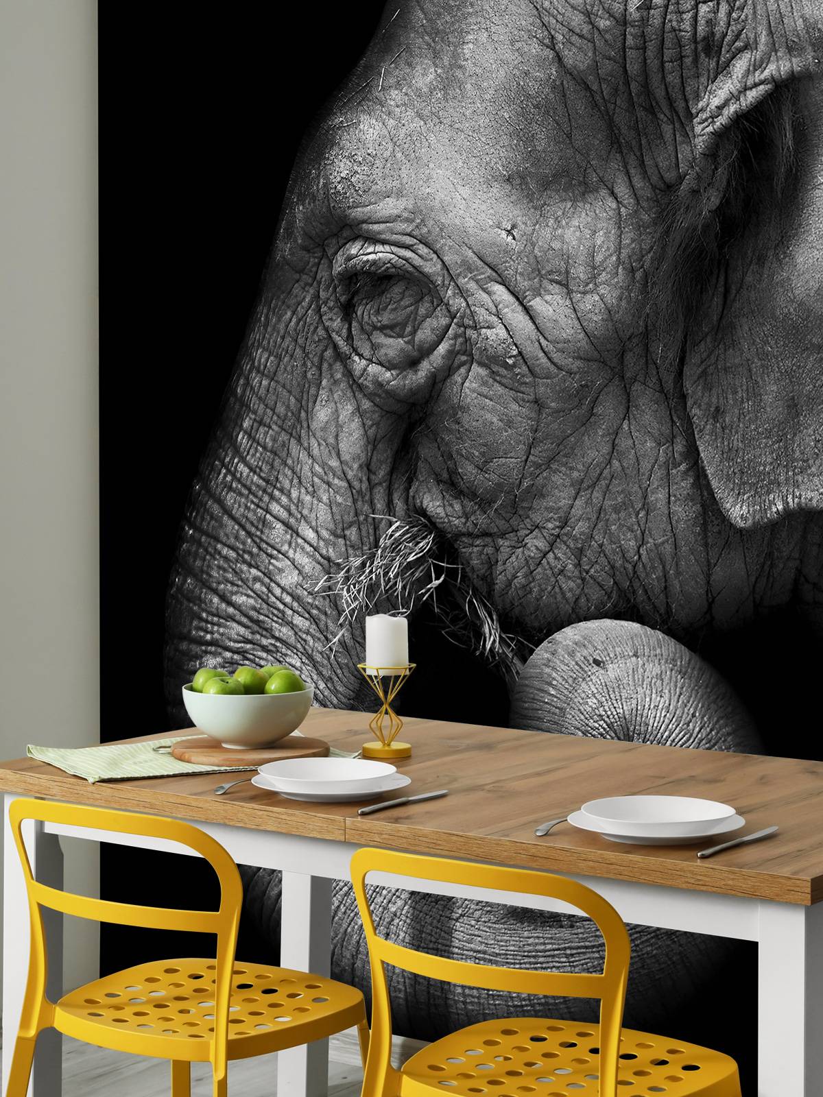 Elephant portrait