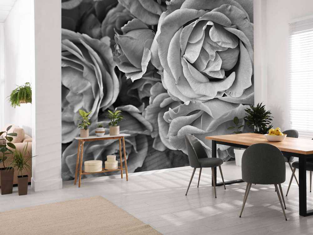 Roses black and white