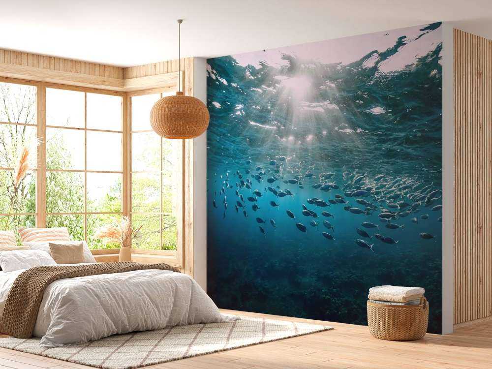 School of fish