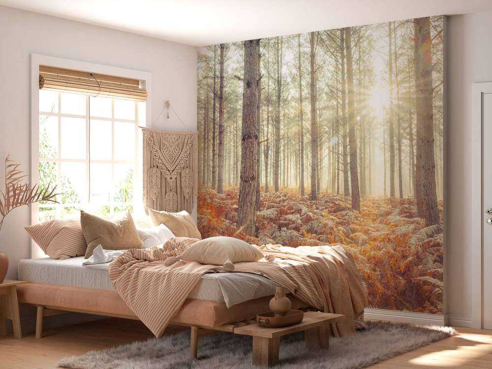 Sun rays through the cold trees