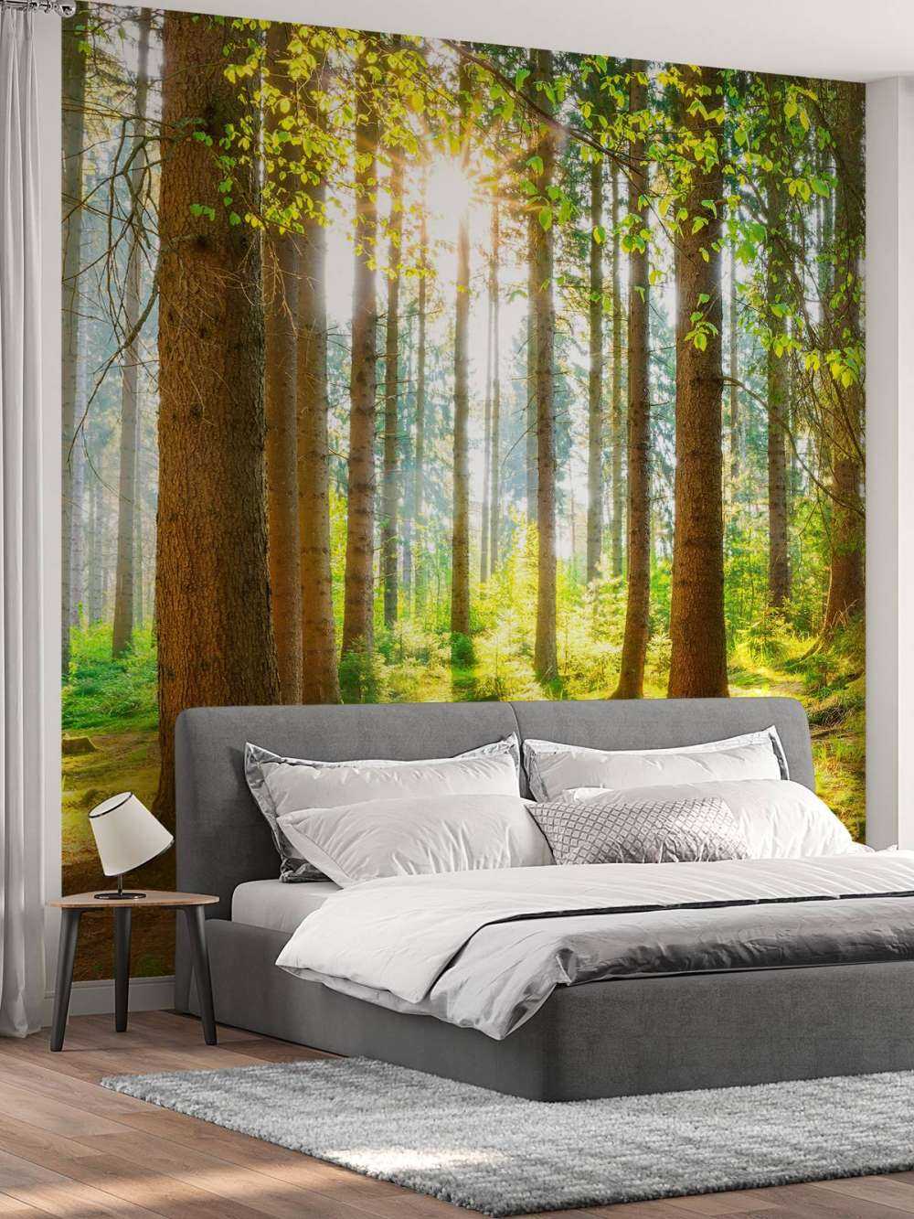 Sunrise in the forest