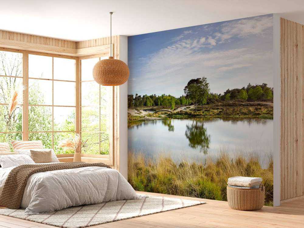 A small forest lake in the heathland area