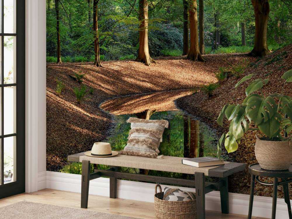 Brooklet in the forest