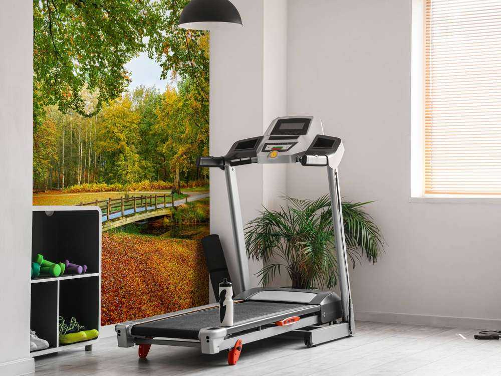 Bridge in the large forest