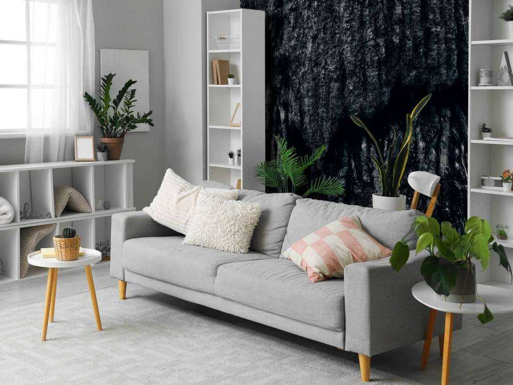 Tree, black and white