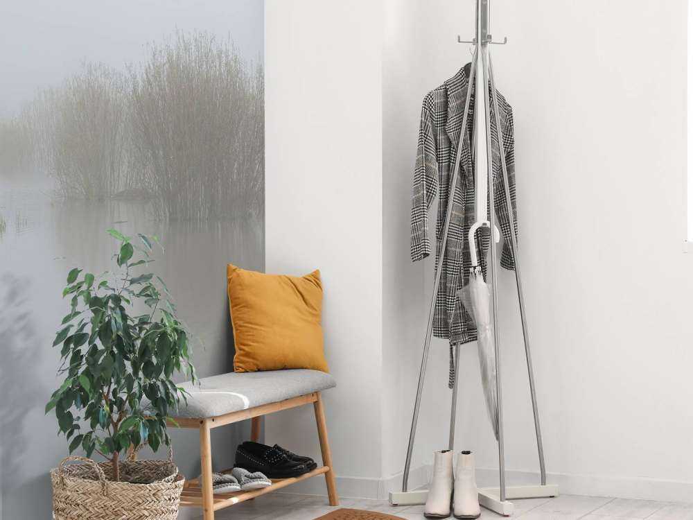 Fog in nature reserve