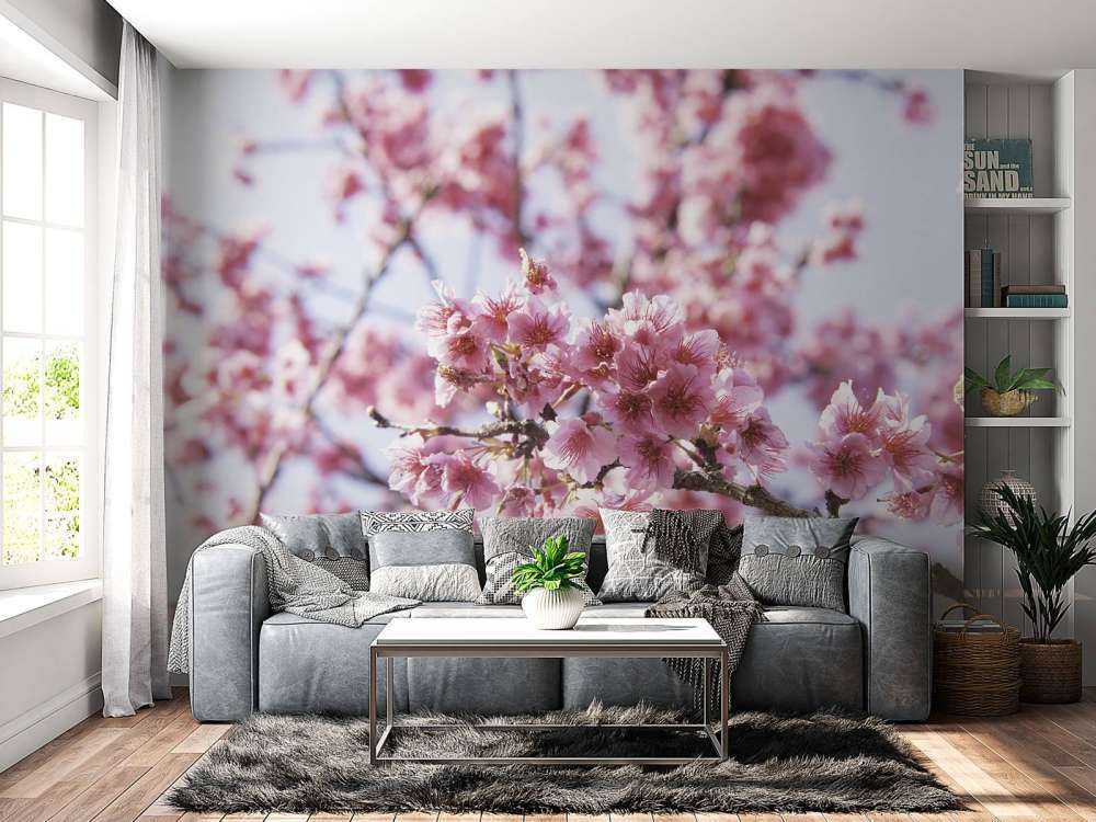 Close-up pink blossom