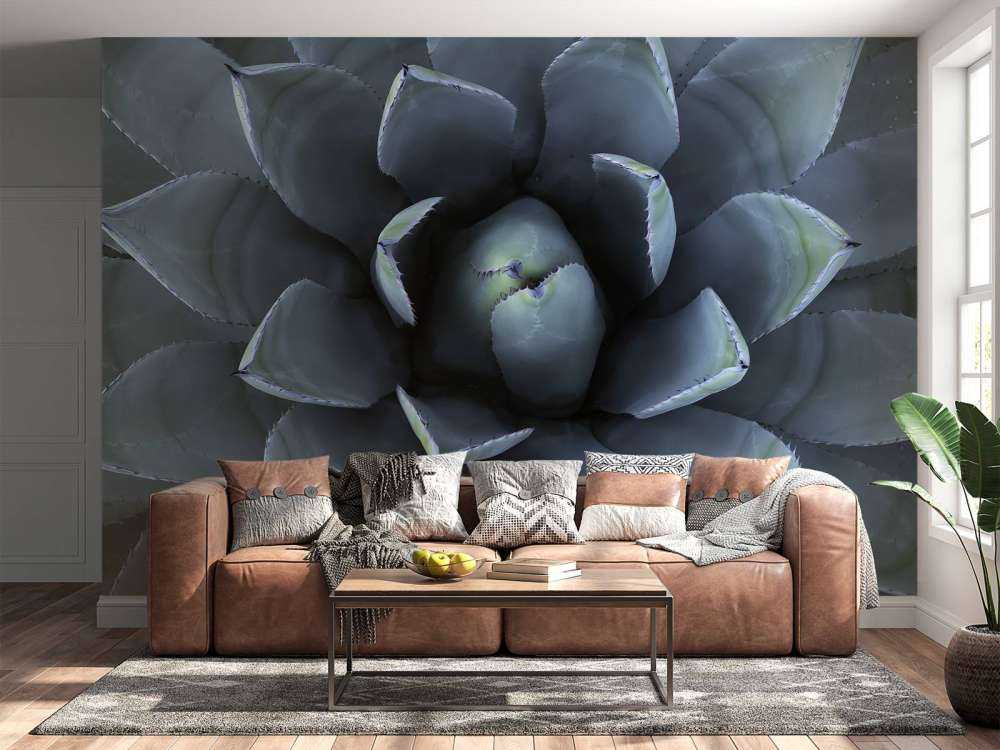 Blue succulent