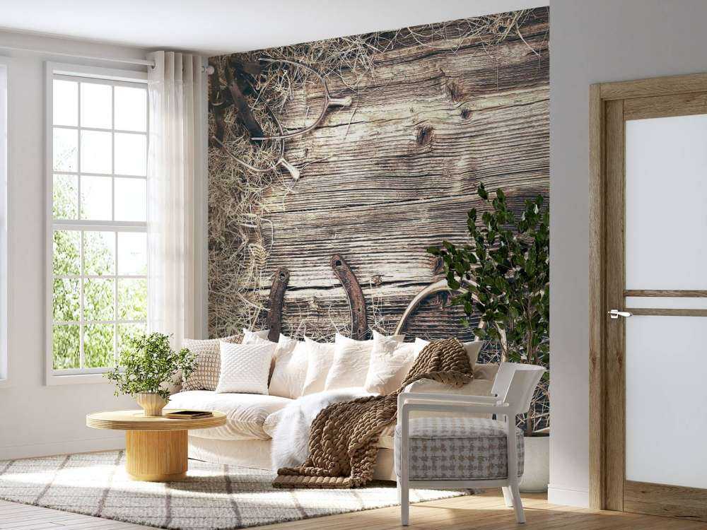 Equipment for horses