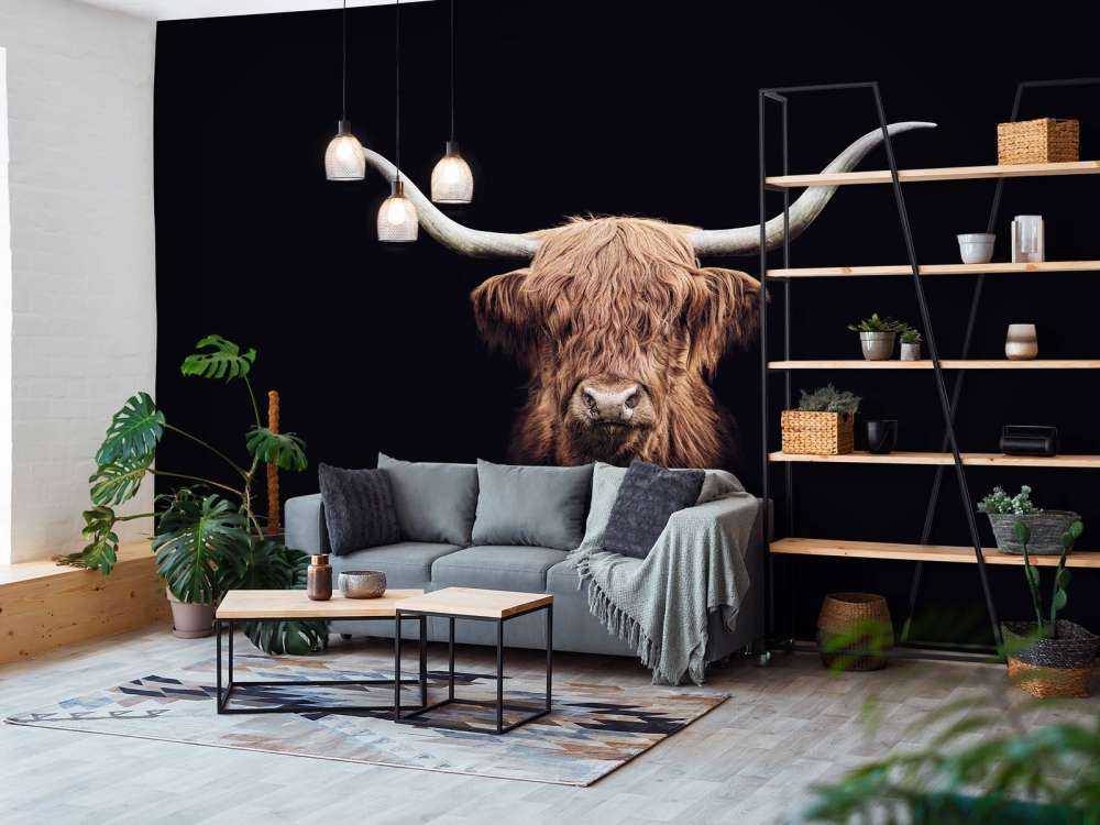 Vintage Scottish Highlander