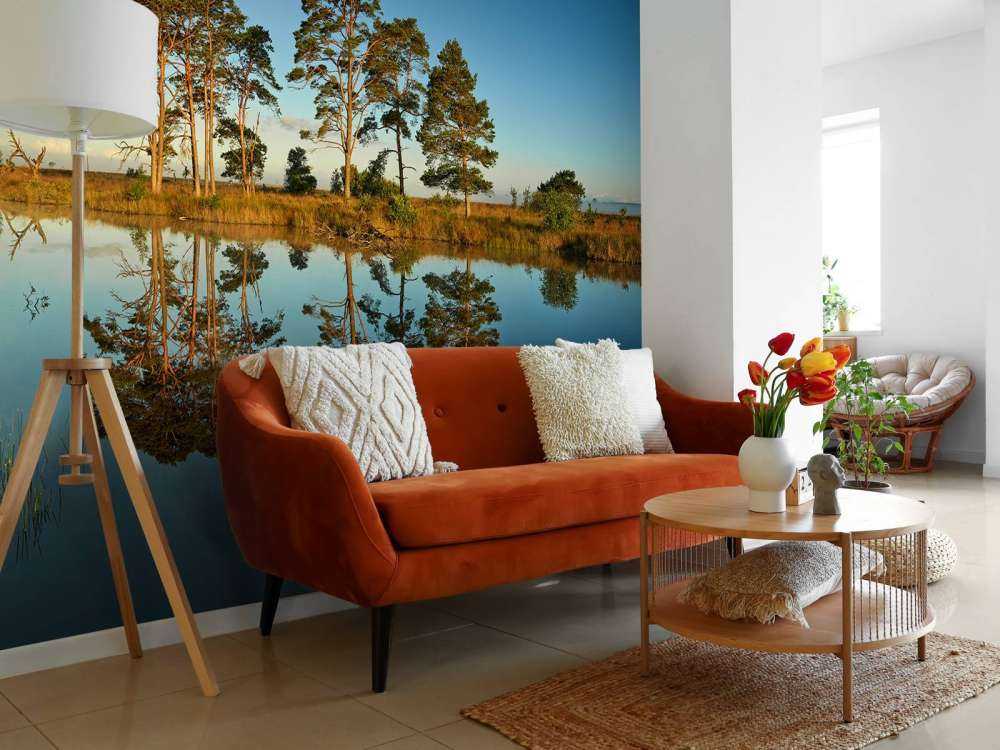 Reflection in forest lake