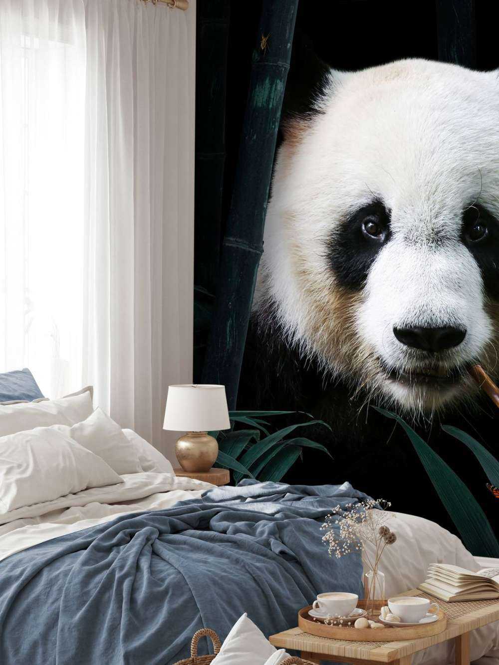Panda Portrait