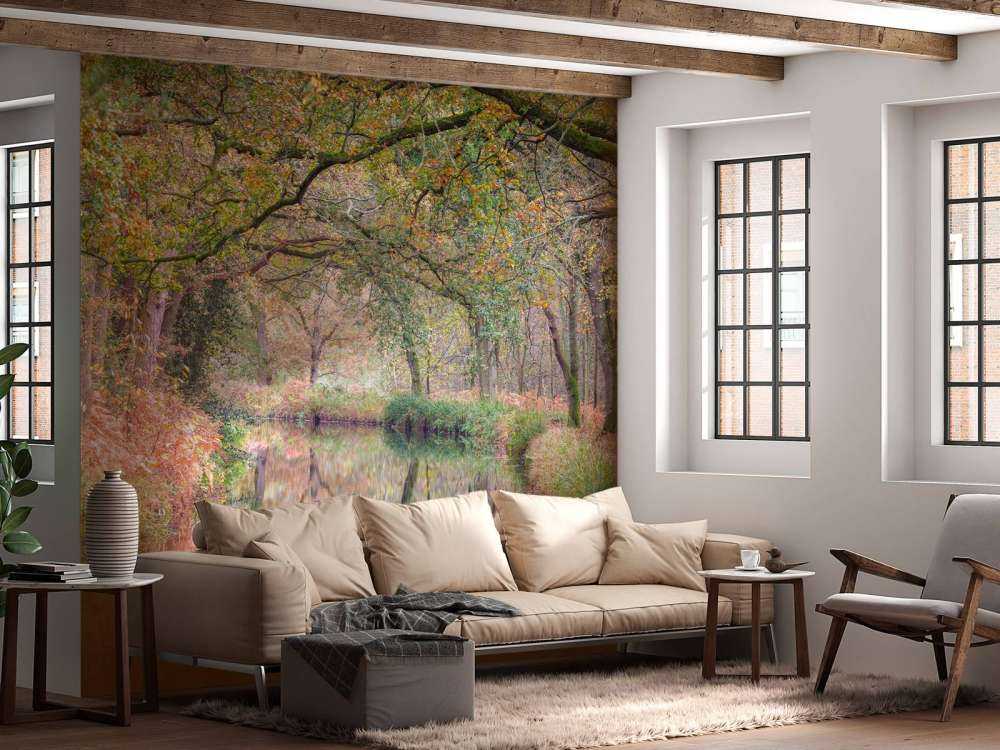 Covered colorful forest