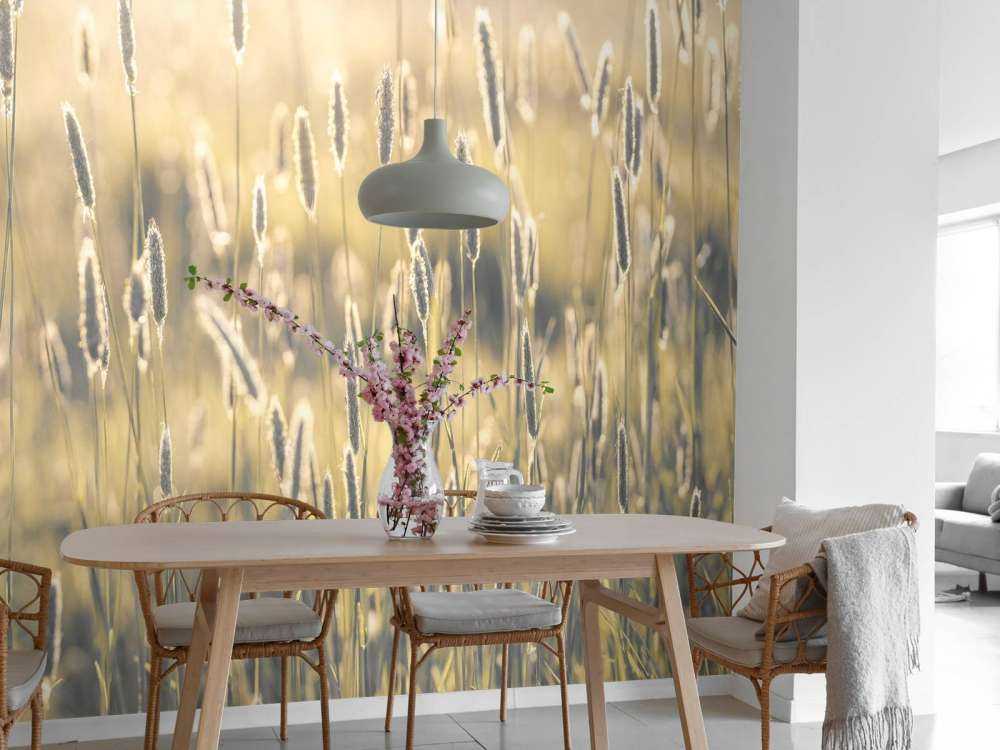 Summer meadow close-up