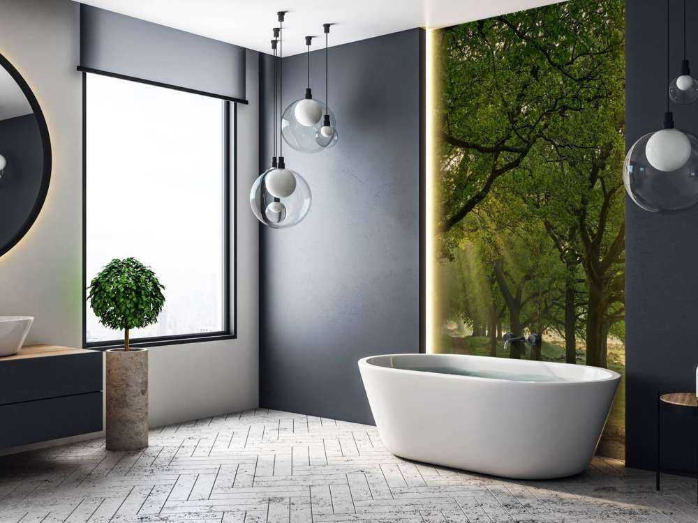 Path between oak trees