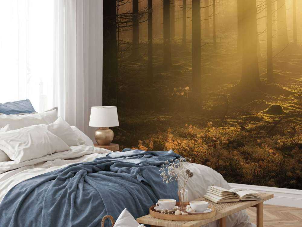 Dark autumn forest